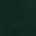 103 -Green-Castillion-Like Vinyl Color